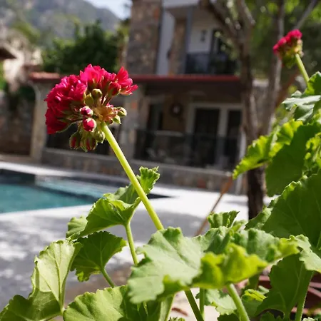 Valencia By Luxury Group, Oeluedeniz, Private Pool Villa Cedit