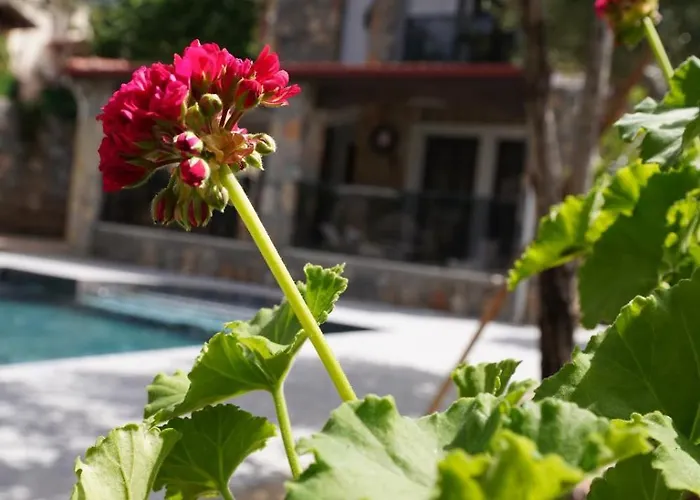 Valencia By Luxury Group, Oeluedeniz, Private Pool Vila Cedit