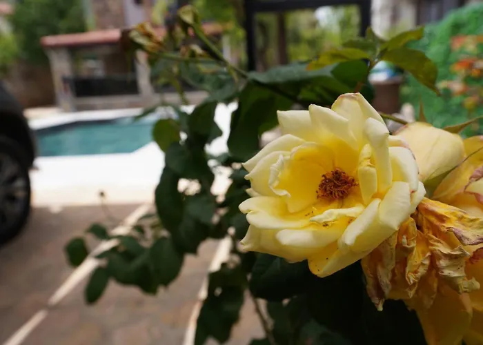 Vila Valencia By Luxury Group, Oeluedeniz, Private Pool *